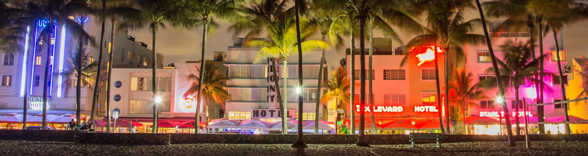 Night Out  Enjoy Miami's Nightlife 